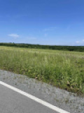 Продава  Парцел област Бургас , гр. Царево , 18000 кв.м | 98541663 - изображение [2]