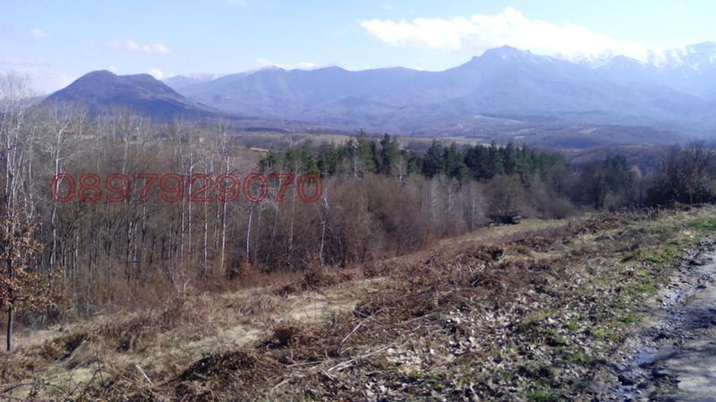 ������� ������ | Imot.bg � ����������� 1
