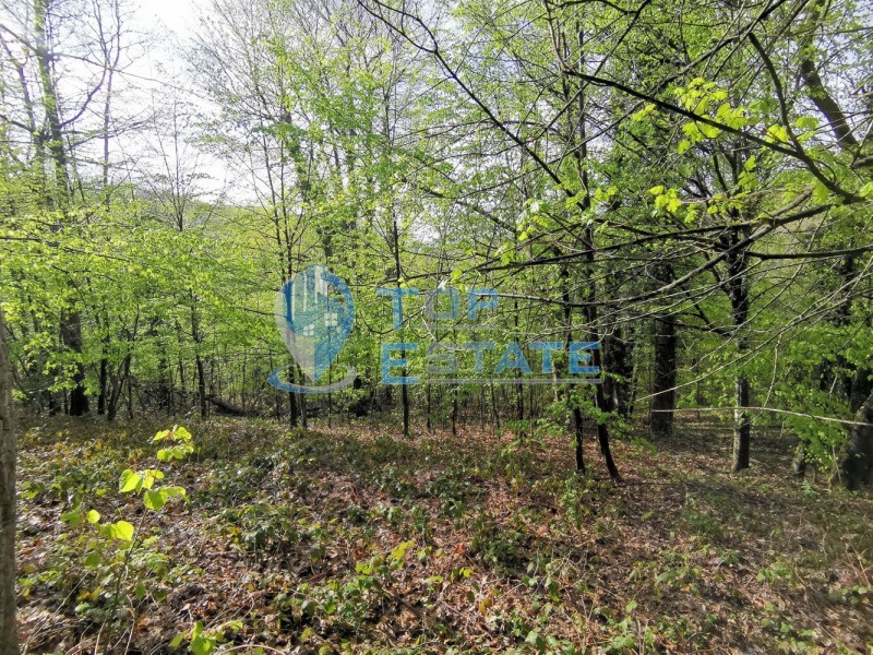 Продава ПАРЦЕЛ в област Габрово, с. Боженците - 466 кв.м / 11 500 € » 22 492.05 лв., ТОП ЕСТЕЙТ