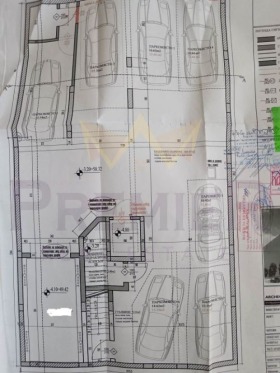 ����� ������� �����,���� �����, ����� ���� ������