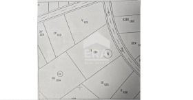 ����� ������� ������,�. ������, ������ �����