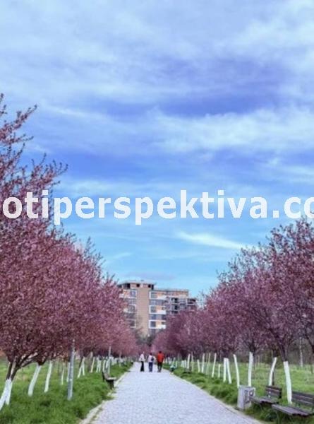 Продава 2-СТАЕН, гр. Пловдив, Тракия, снимка 7 - Апартаменти - 56528120