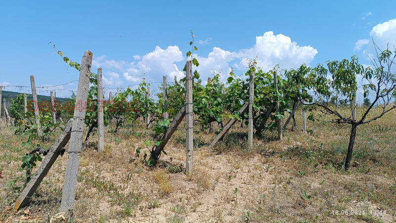 Продава КЪЩА, с. Верен, област Стара Загора, снимка 17 - Къщи - 52784130