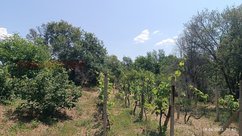 Продава КЪЩА, с. Верен, област Стара Загора, снимка 13 - Къщи - 52784130