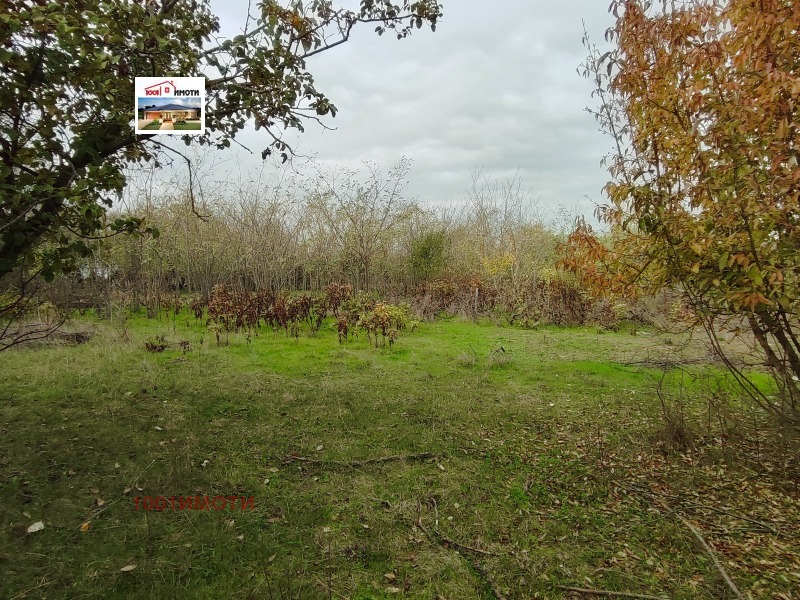 Продава КЪЩА, с. Ведрина, област Добрич, снимка 13 - Къщи - 49026612