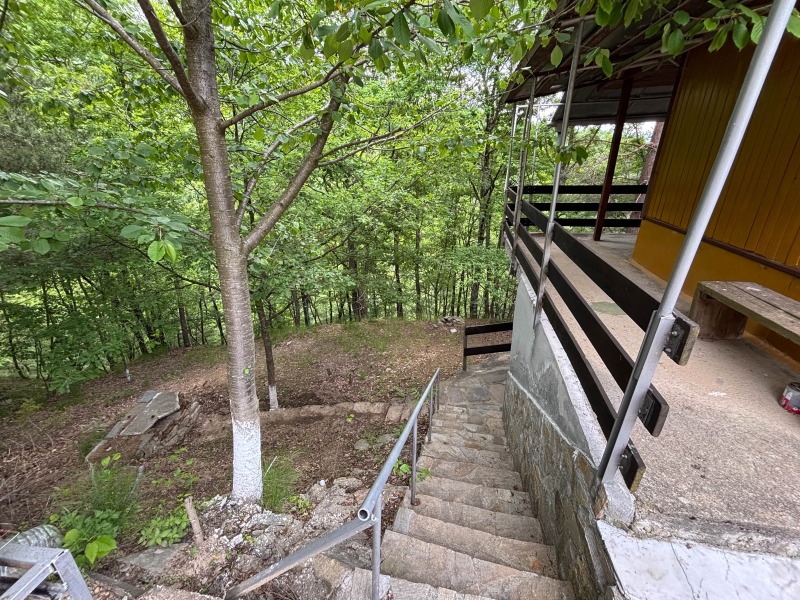 Продава  Вила област Пловдив , с. Косово , 100 кв.м | 36139459 - изображение [10]