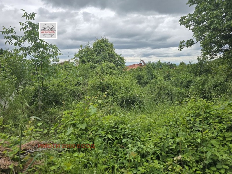 Na prodej  Spiknutí oblast Stará Zagora , Malka Vereja , 559 m2 | 61511485 - obraz [3]