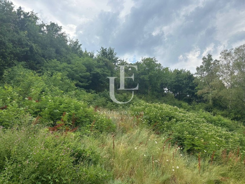 Продаја  Плот Софија , Панчарево , 933 м2 | 43237555 - слика [2]
