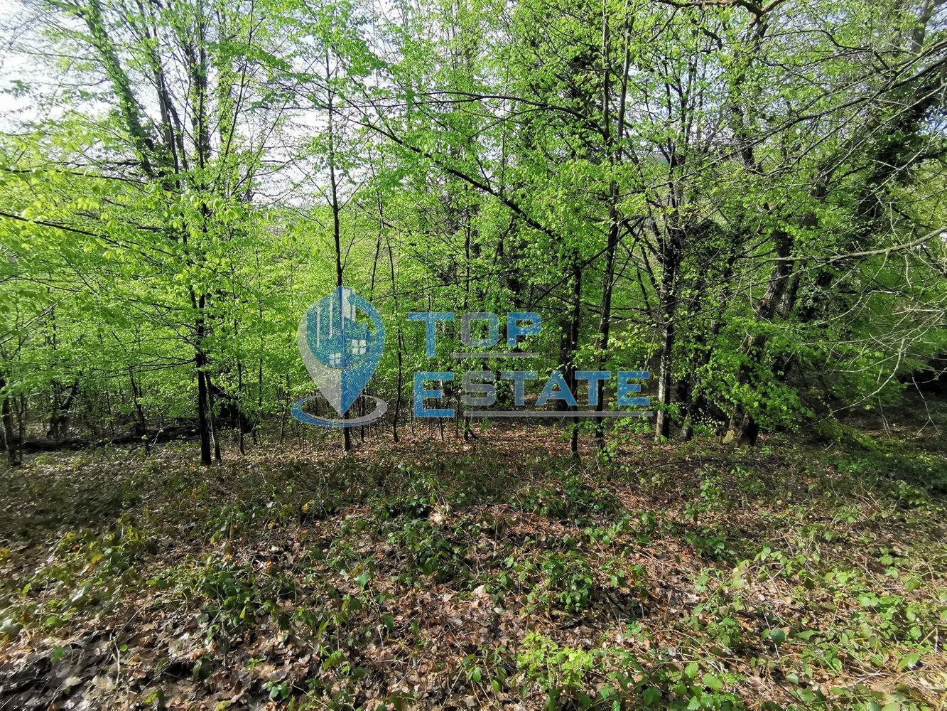 Продава ПАРЦЕЛ, с. Боженците, област Габрово, снимка 2 - Парцели - 40759802