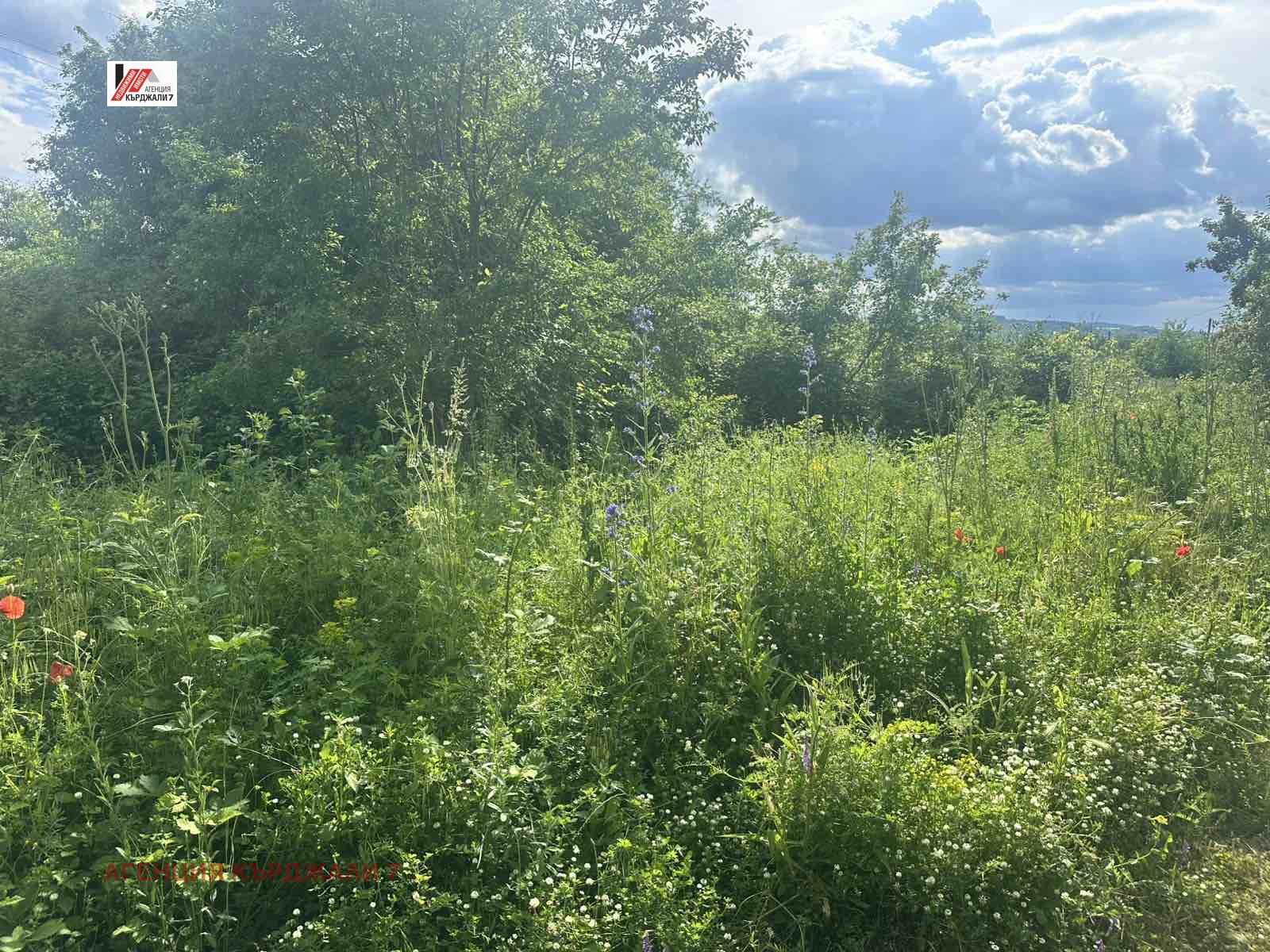 Продава ПАРЦЕЛ, гр. Кърджали, Веселчане, снимка 6 - Парцели - 55521249