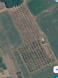 Продава ЗЕМЕДЕЛСКА ЗЕМЯ, с. Мараш, област Шумен, снимка 4