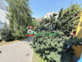 Продава  3-стаен област Бургас , к.к. Слънчев бряг , 85 кв.м | 82620544 - изображение [9]