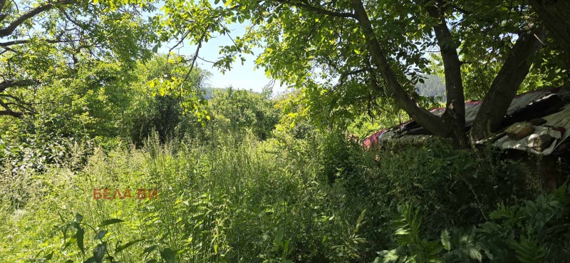 Na prodej  Spiknutí oblast Pernik , Kondofrej , 1360 m2 | 22696307 - obraz [2]