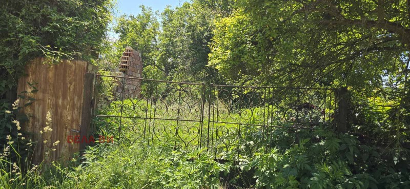 Na prodej  Spiknutí oblast Pernik , Kondofrej , 1360 m2 | 22696307