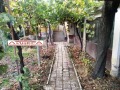 Продава КЪЩА, област Пловдив, с. Ръжево Конаре • 41900 € • 16568851 — Holmes.bg