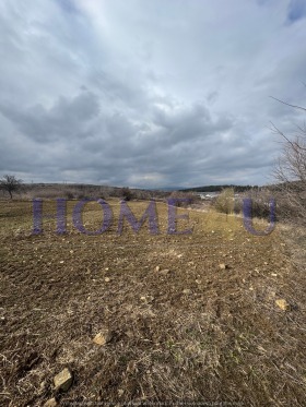 Парцел с. Зелендол, област Благоевград 1