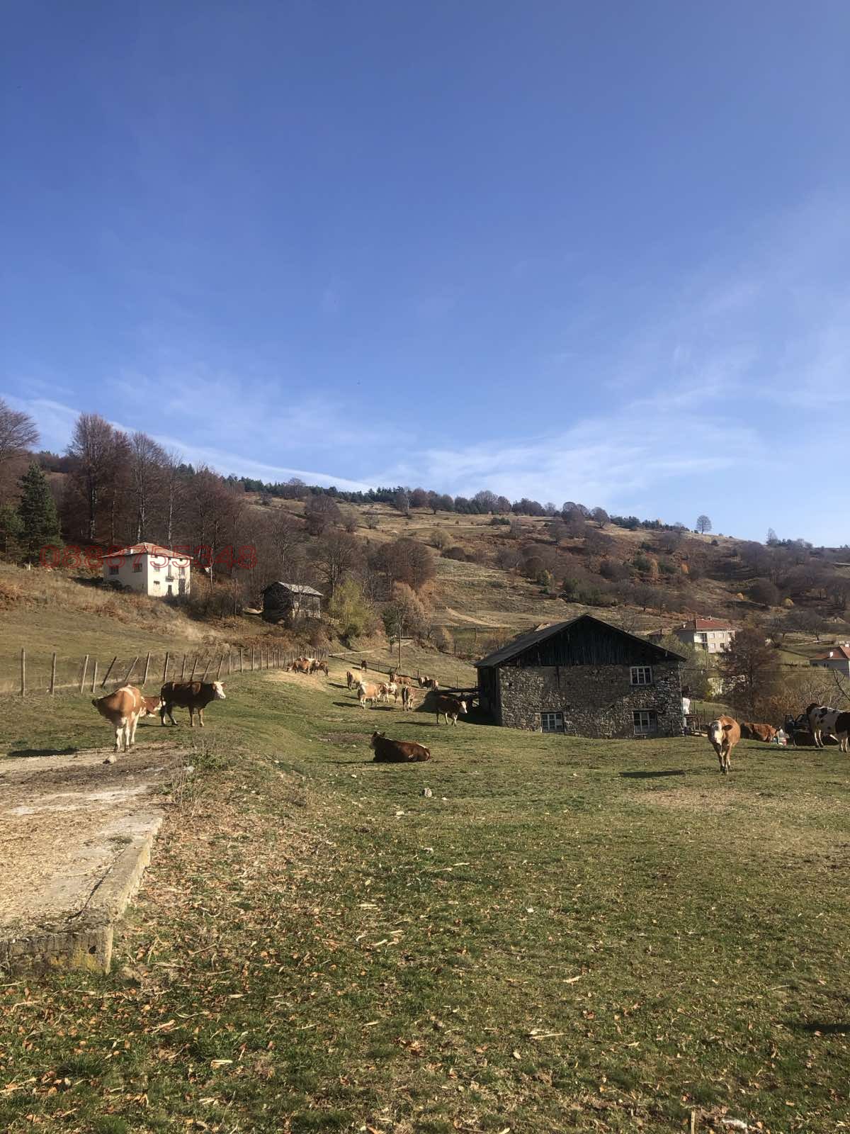Продава БИЗНЕС ИМОТ, с. Стърница, област Смолян, снимка 5 - Други - 54750122