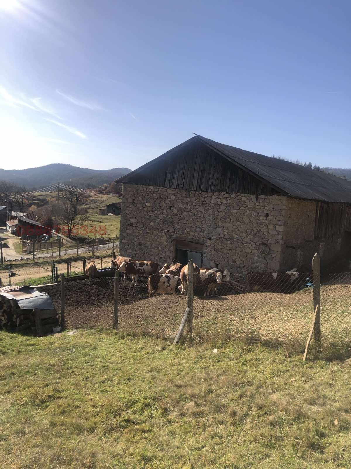 Продава БИЗНЕС ИМОТ, с. Стърница, област Смолян, снимка 3 - Други - 54750122
