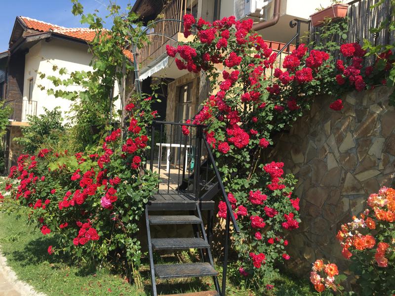 ������� ���� | Imot.bg � ����������� 3