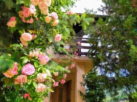 ������� ���� | Imot.bg � ����� ������ 2