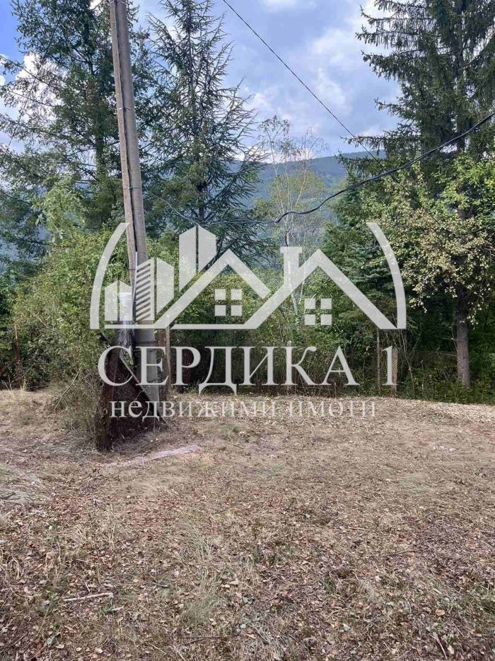 Продава КЪЩА, с. Свидня, област София област, снимка 6 - Къщи - 47156848