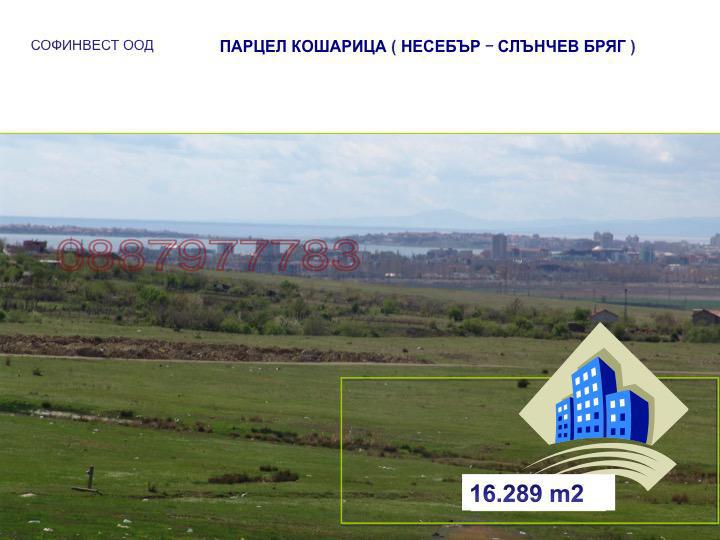 Продава ПАРЦЕЛ, с. Кошарица, област Бургас, снимка 6 - Парцели - 54177632