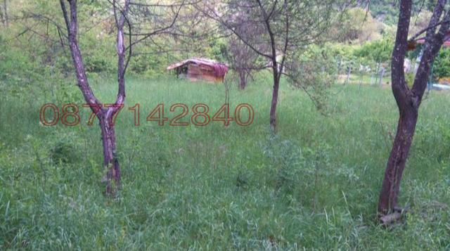 Продава ПАРЦЕЛ, с. Владо Тричков, област София област, снимка 2 - Парцели - 53039070