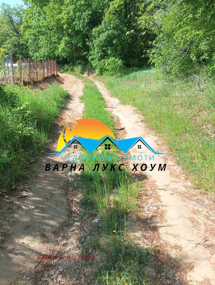 En venta  Trama Varna , m-t Borovets - yug , 1000 metros cuadrados | 52139299 - imagen [2]