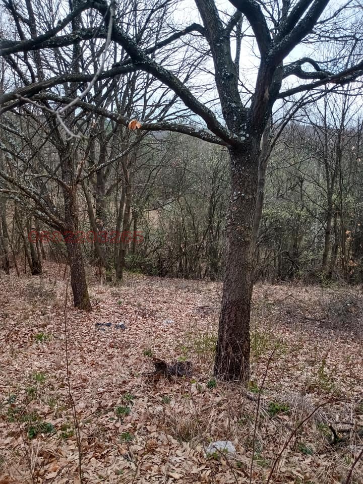 Продава ПАРЦЕЛ, с. Вакарел, област София област, снимка 2 - Парцели - 52904225