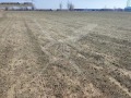 Продава ПАРЦЕЛ, с. Строево, област Пловдив, снимка 2