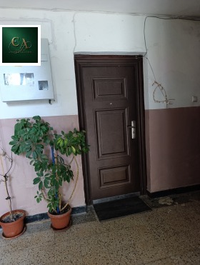 ����� ������� 3-�����,��. ����� ���, ������ ���������