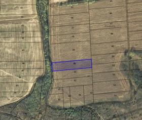 Продажба на земеделски земи в област Велико Търново - изображение 9 