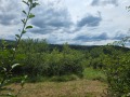 Продава  Къща област Ловеч , с. Гумощник , 40 кв.м | 64446144 - изображение [10]