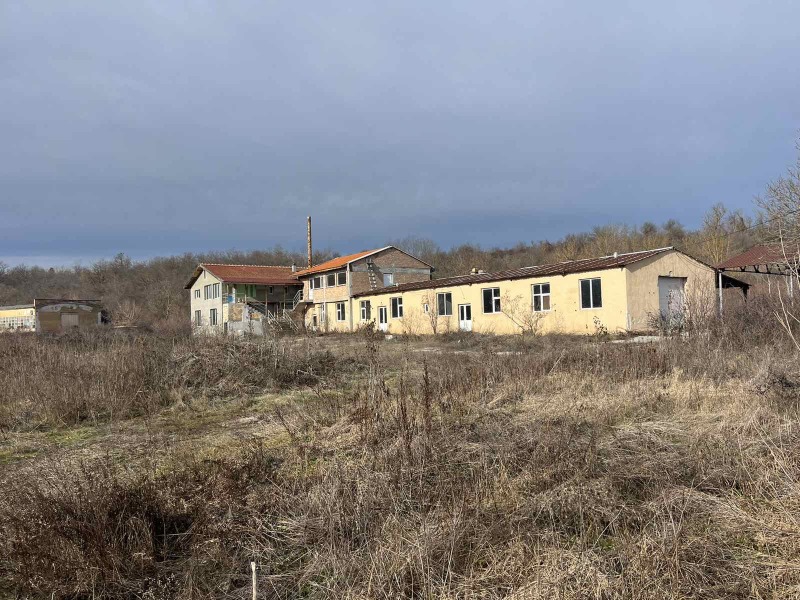Продава ПРОМ. ПОМЕЩЕНИЕ в град Търговище, Промишлена зона - 6200 кв.м / 196 000 € » 383 342.68 лв., ГЛОБАЛ ЕСТЕЙТ