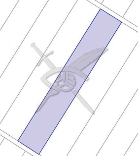 ������ ������� ������