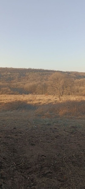 Land Konstantinovo, region Varna 2