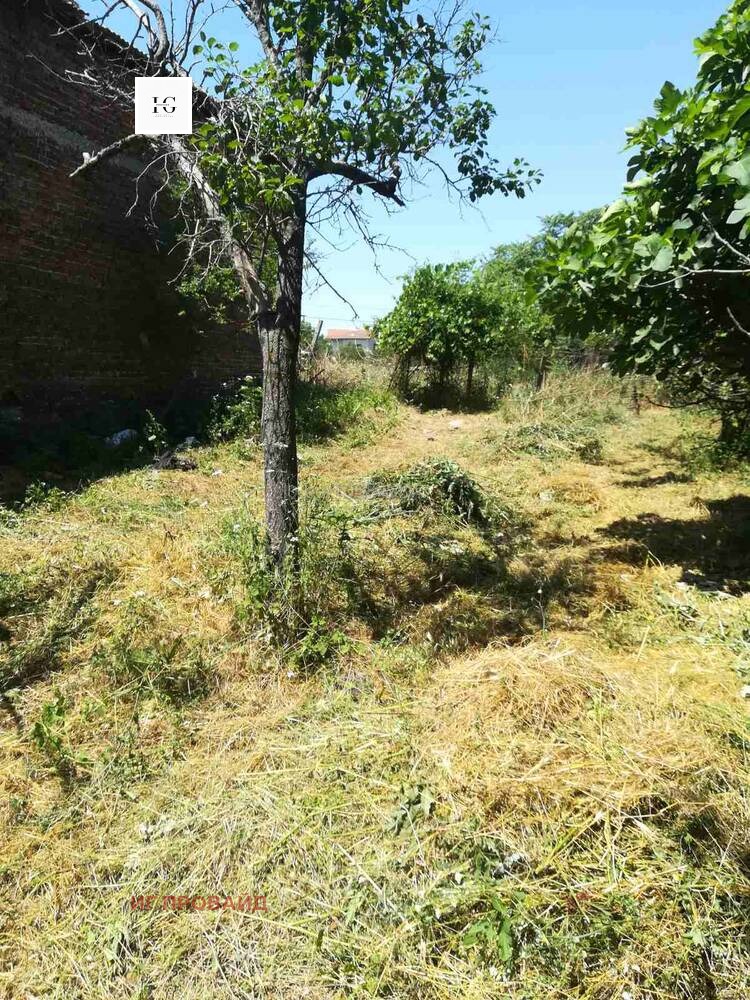 Продава КЪЩА, с. Дебелт, област Бургас, снимка 2 - Къщи - 52304067