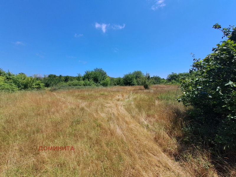 For Sale  Plot region Burgas , Ahtopol , 2000 sq.m | 76098725