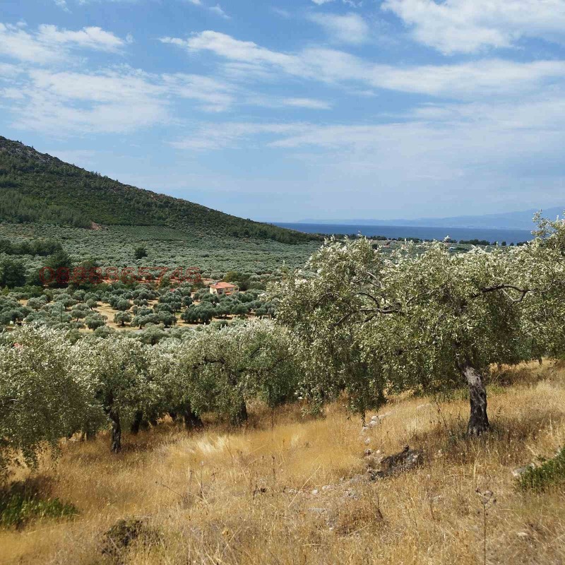 Продава ПАРЦЕЛ, Извън страната, област Извън страната, снимка 5 - Парцели - 52780921