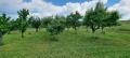 Продава ПАРЦЕЛ, с. Мерданя, област Велико Търново, снимка 1