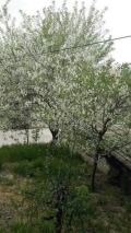 Продава КЪЩА, област Габрово, гр. Трявна • 130000 € / 254257.90 лв. • 61432204 17