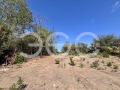 Продава ПАРЦЕЛ, град Варна, м-т Боровец - север • 73900 € • 28556647 — Holmes.bg