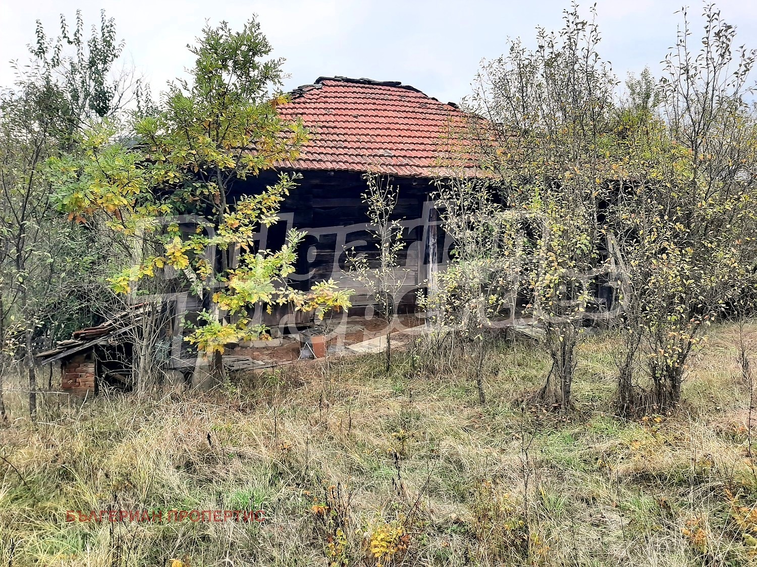 ������� ���� | Imot.bg � ����������� 16