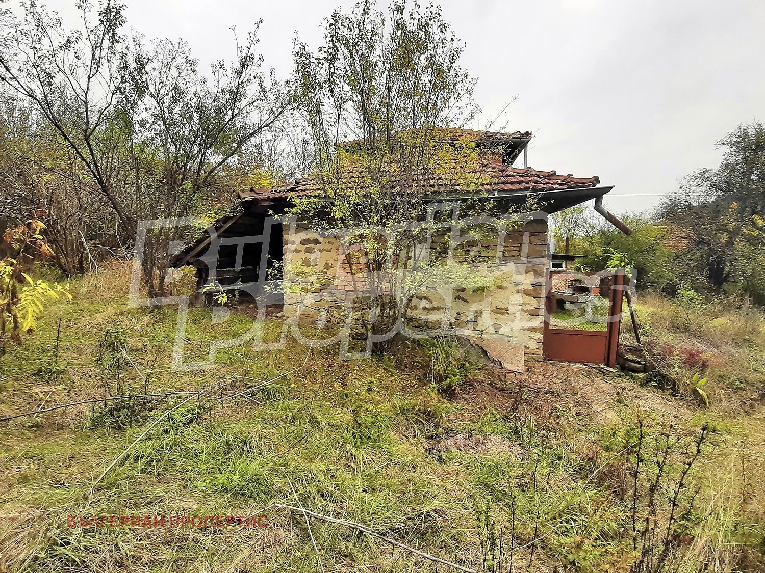 ������� ���� | Imot.bg � ����������� 1