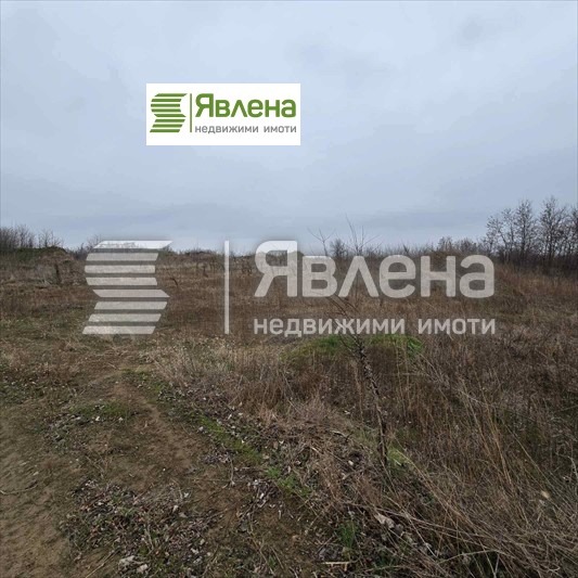 Продава  Парцел област Видин , с. Новоселци , 81693 кв.м | 95811750 - изображение [2]
