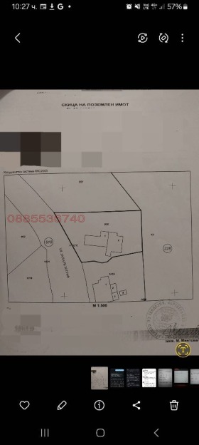 ����� ������� ������,���� ������, ������