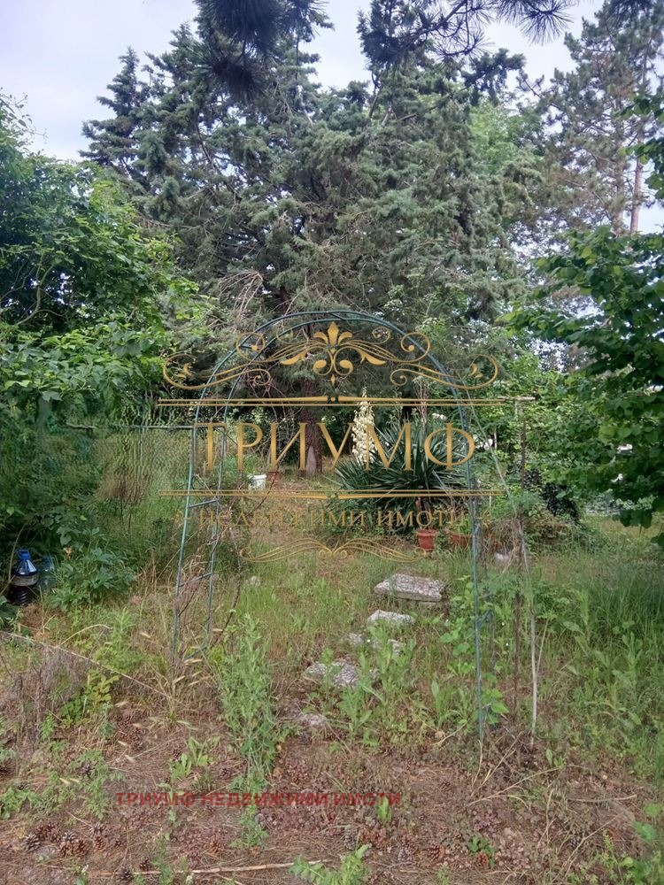Продава КЪЩА, с. Круша, област Варна, снимка 9 - Къщи - 53024100
