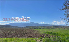 ������ ������� ������