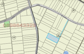 ������ ������� ������