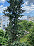 Продава 3-СТАЕН, гр. София, Дружба 1, снимка 11